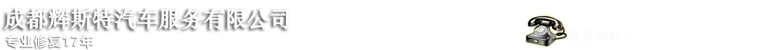 成都辉斯特汽车服务有限公司